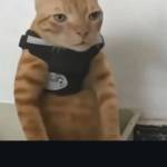 Fatima Al-Zahraa Mohammed ??