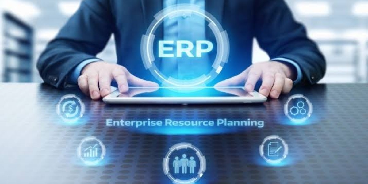 ERP Software in Pakistan for Efficient Business Management