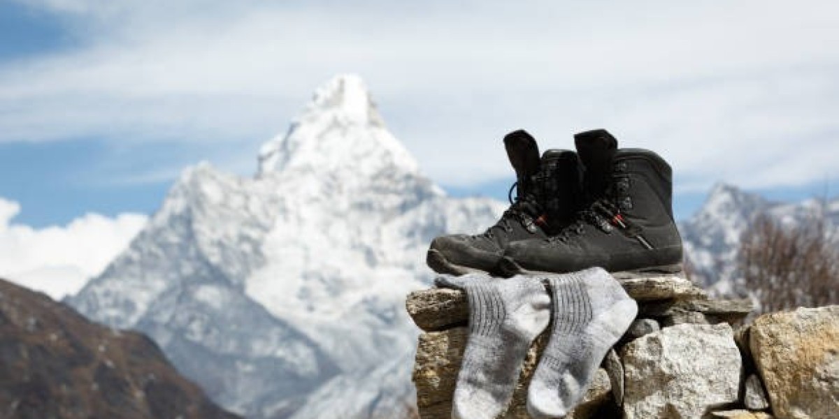Sustainable Socks Industry Growth Shaping Future Consumer Choices