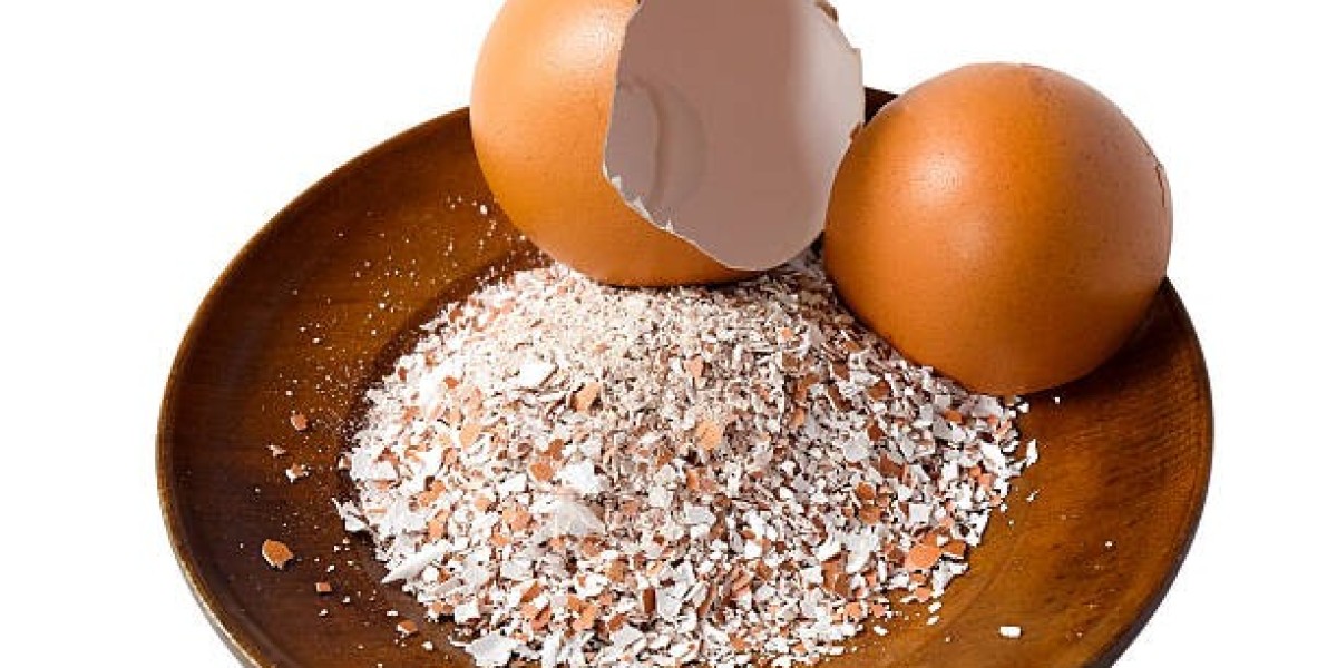 Eggshell Membrane Powder Market Trends Driving Global Expansion