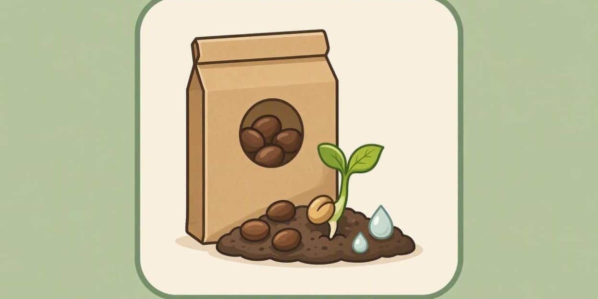 Fast Version Seeds Explained